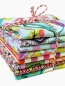 Preview: Baumwolle Patchwork - Tula Pink - Tabby Road Deja` Vu - Halbe Meter Zuschnitte - 4 Meter